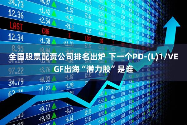 全国股票配资公司排名出炉 下一个PD-(L)1/VEGF出海“潜力股”是谁