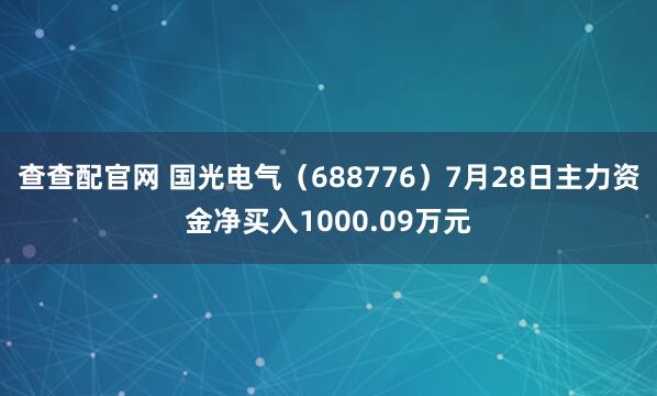 查查配官网 国光电气（688776）7月28日主力资金净买入1000.09万元