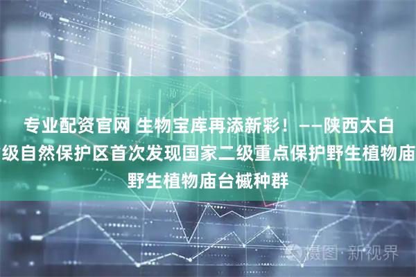 专业配资官网 生物宝库再添新彩！——陕西太白牛尾河省级自然保护区首次发现国家二级重点保护野生植物庙台槭种群