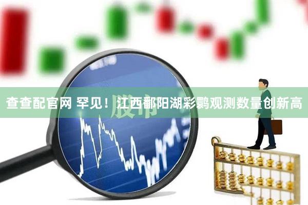 查查配官网 罕见！江西鄱阳湖彩鹮观测数量创新高